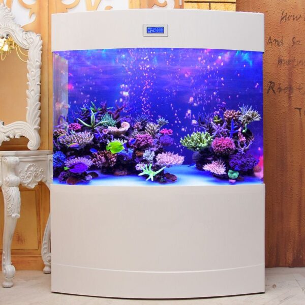 Bể cá thông minh nhập khẩu BC011 màu trắng
